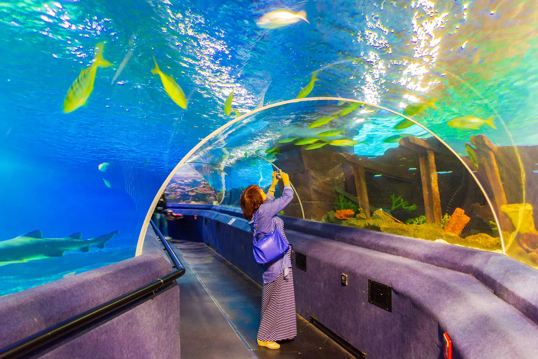 Sealife Centre Weymouth