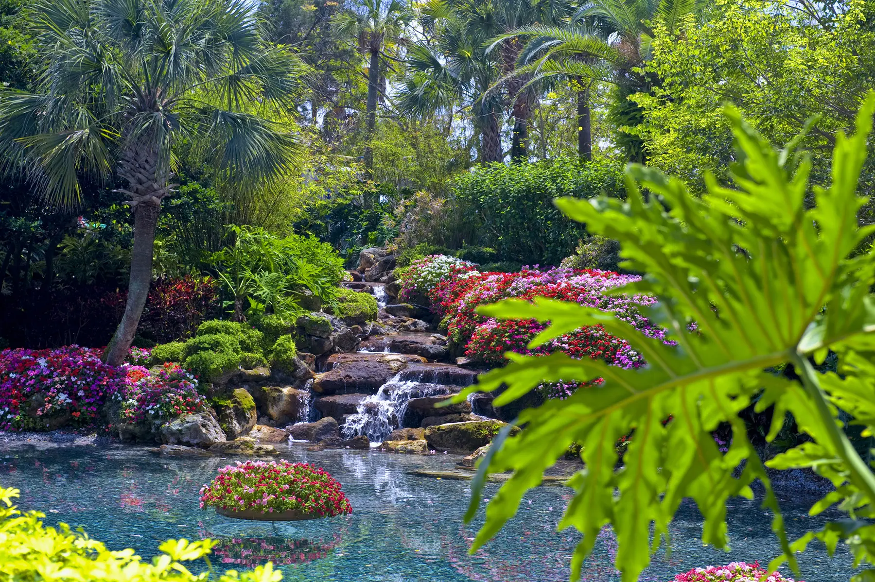Abbotsbury Subtropical Gardens