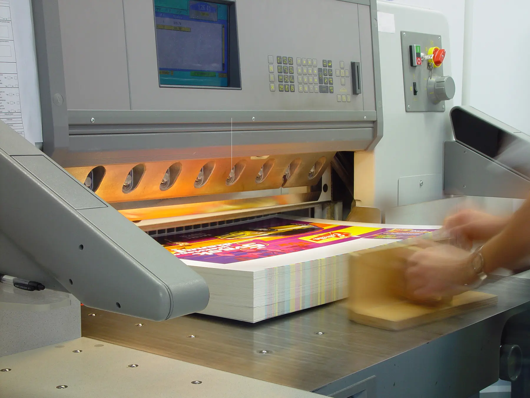 Falconry Prints and Design