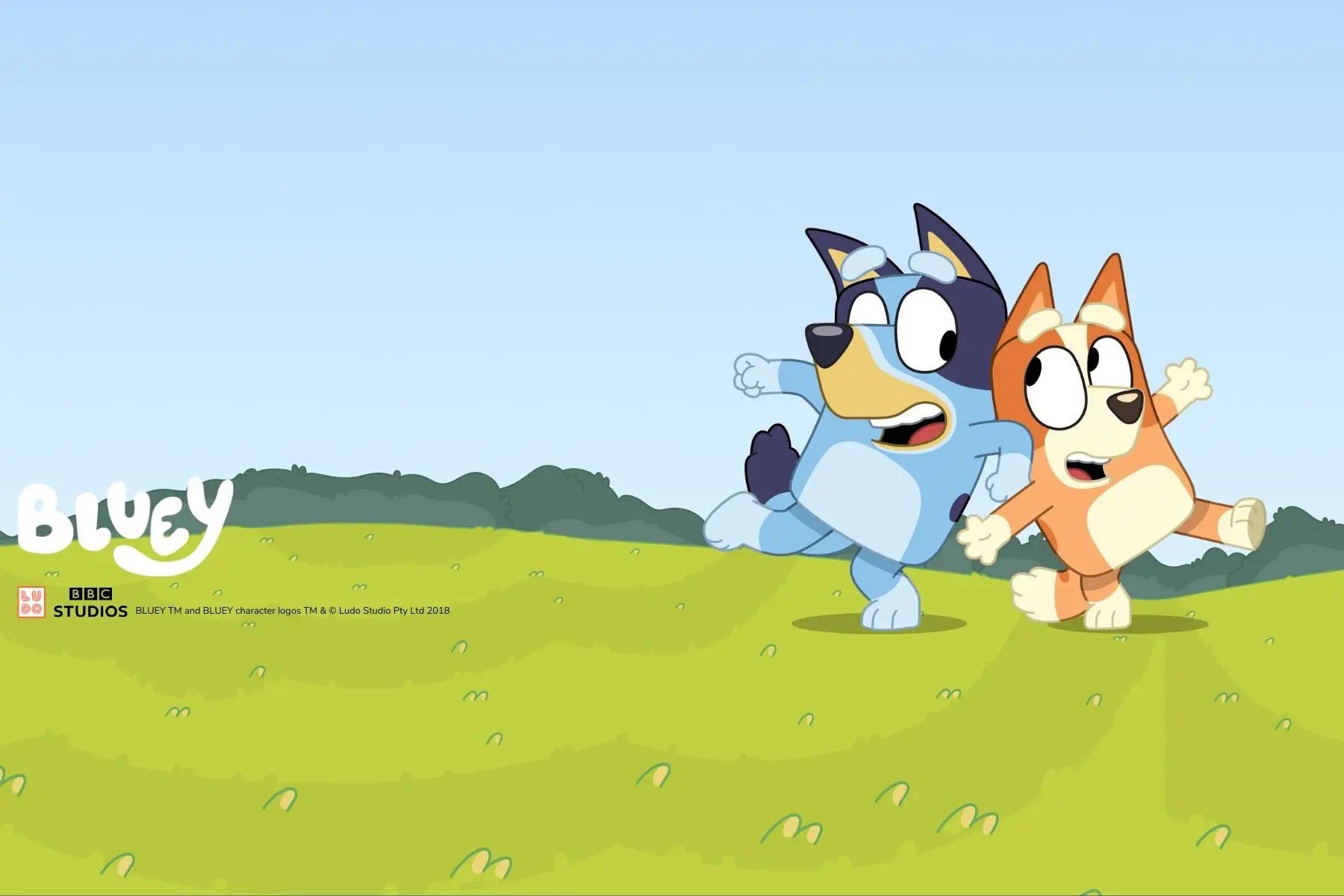 Meet Bluey & Bingo 🗓