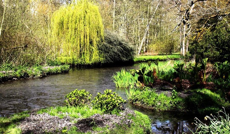 Fairhaven Woodland and Water Garden 