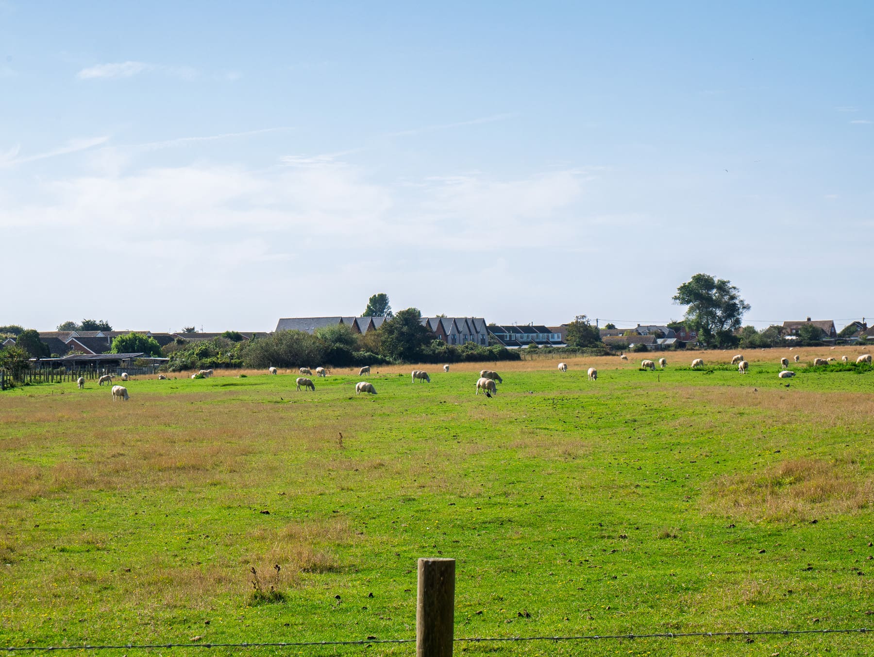 Orchard-views-P1730771