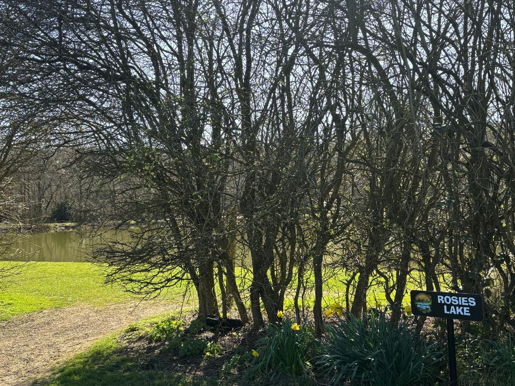 Rosies Lake