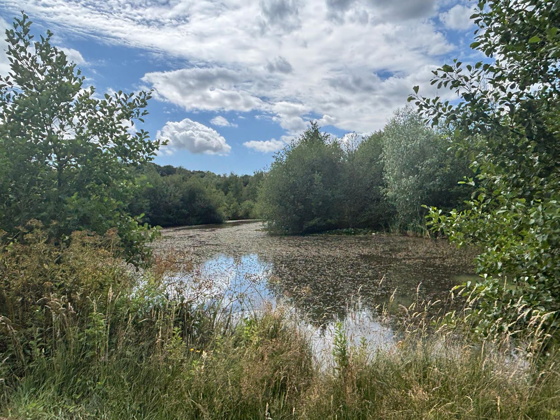 WhatsApp Image 2025-07-21 at 12.13.55_06073db8