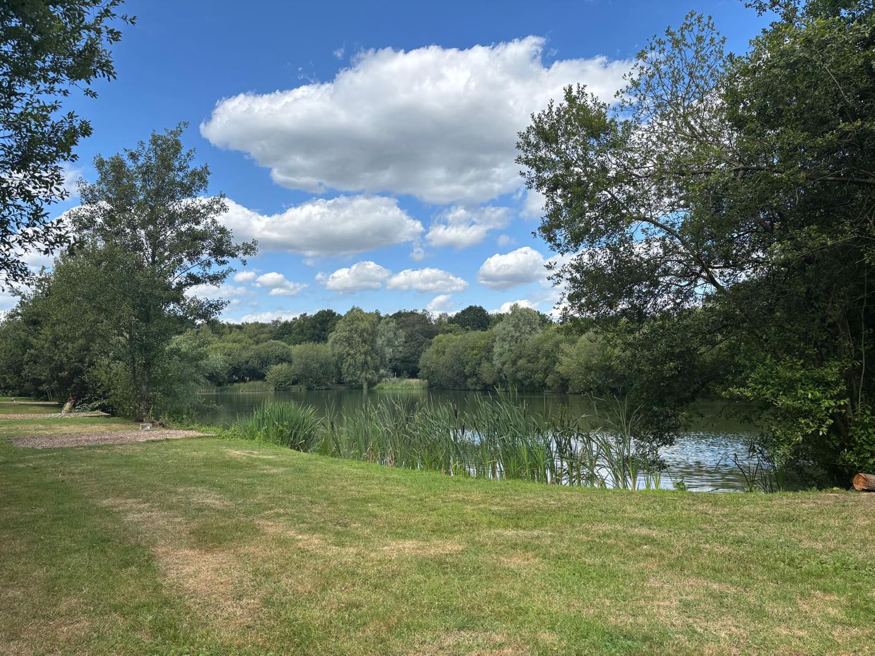 WhatsApp Image 2025-07-21 at 12.13.55_49be71fa