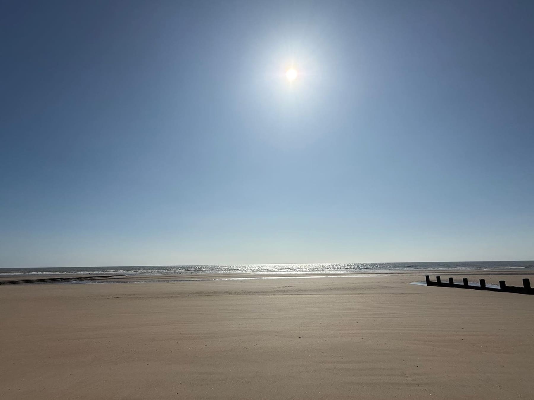 baf5a0f8-1013-4777-aef7-16c958df0005