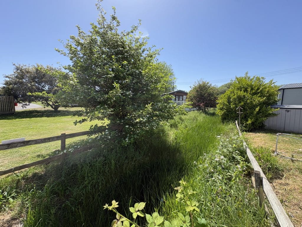 Country View 4