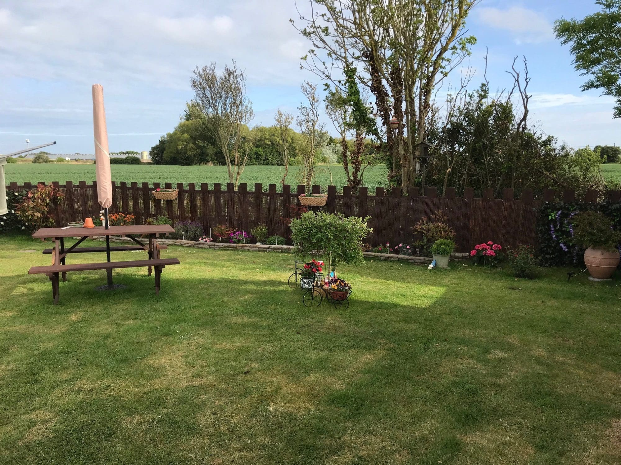 Orchard View 2